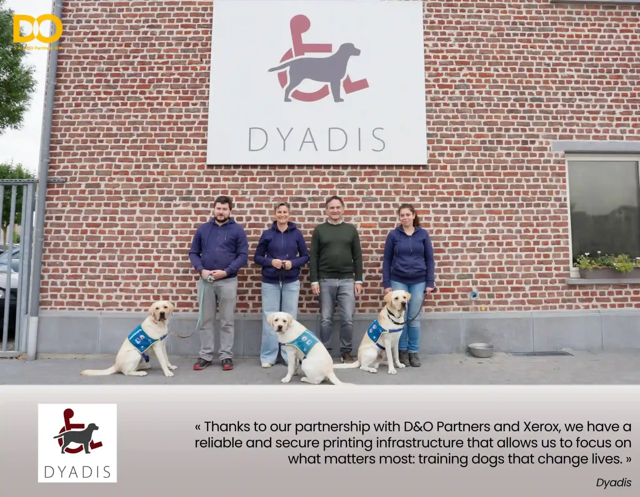 Partnership Dyadis and D&O Partners
